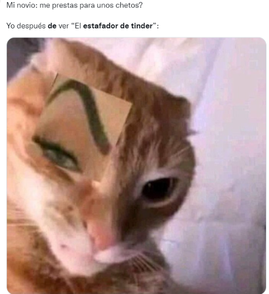 Los memes que dejó El estafador de Tinder, la serie de Netflix