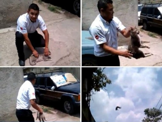 Indignación por video de joven maltratando a gato