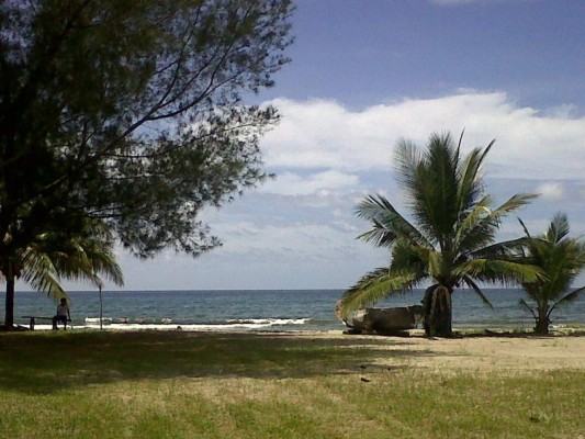 Las Fotos de los Lectores