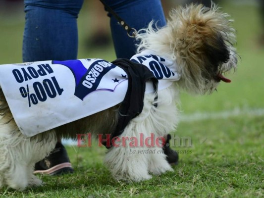 Las mejores imágenes de la jornada 18 de la Liga Nacional de Honduras
