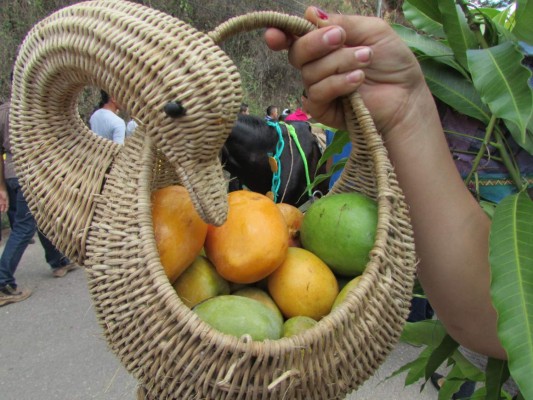 Así se celebró el Festival del Mango y el Mamey en Yuscarán