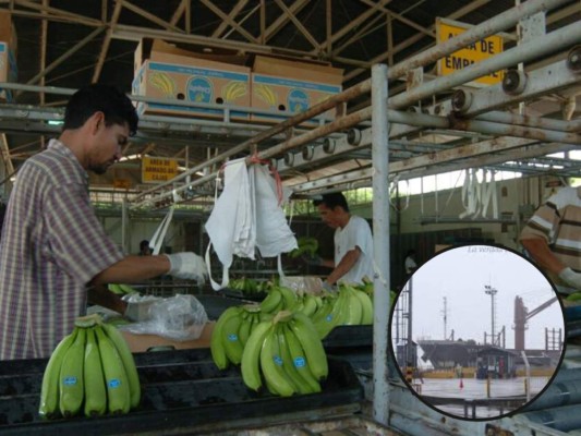 Con el cierre de la Chiquita Brands se perdieron muchos empleos