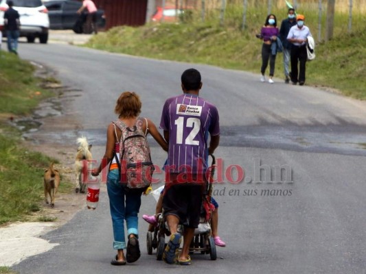 Ángeles dan segunda oportunidad a mascotas desamparadas en Honduras