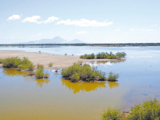 Promoverán el ecoturismo en municipios del sur