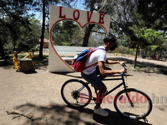 Pulmones del Distrito Central muestran la impresionante belleza de la naturaleza
