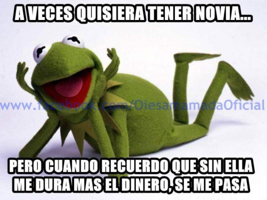 El origen de los memes de la Rana René