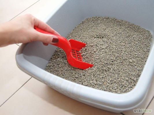 Las vacunas para su gato
