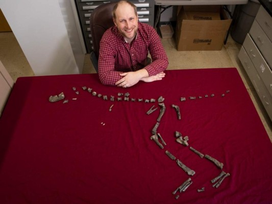 Sterling Nesbitt, paleontólogo en Virginia Tech que descubrió los huesos del primo del T. res. FOTO: AP