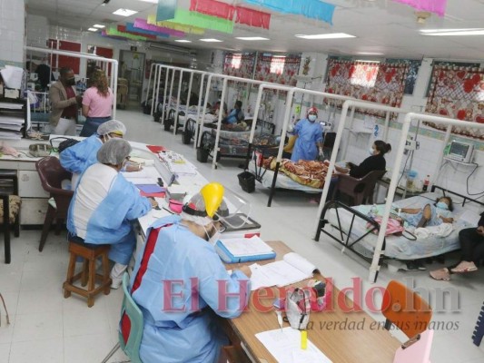 Distrito Central, en riesgo de epidemia de dengue antes de cerrar el año