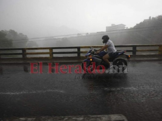 FOTOS: Postes caídos, mercados y calles inundadas, así permanecía la capital durante intensa lluvia