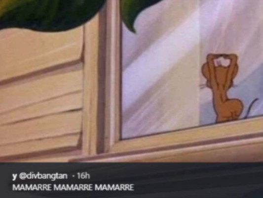 Graciosos memes genera el 'Mamarre' del popular tema musical 'Rebota'