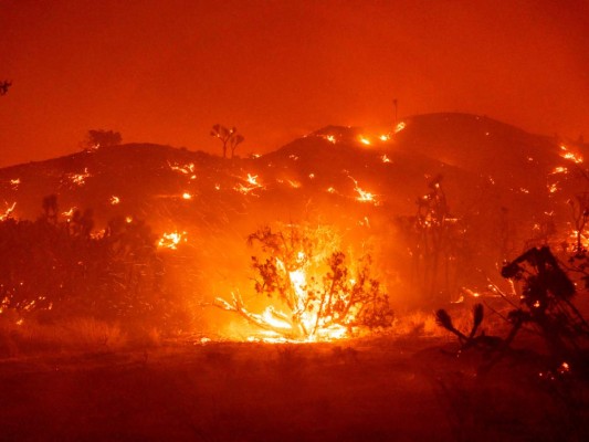 Las imágenes más impactantes del incendio Bobcat que arrasa California