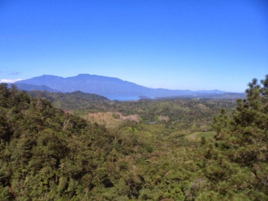 Las Fotos de los Lectores