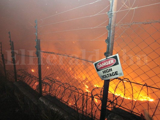 Impactantes imágenes del incendio forestal en El Picacho en Tegucigalpa