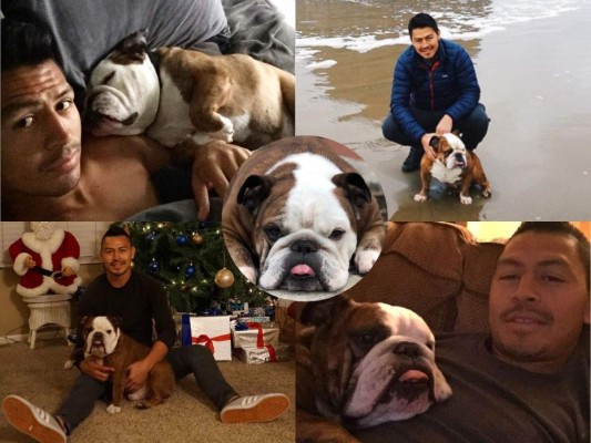FOTOS: Así es Chulo, el perro consentido del futbolista hondureño Roger Espinoza