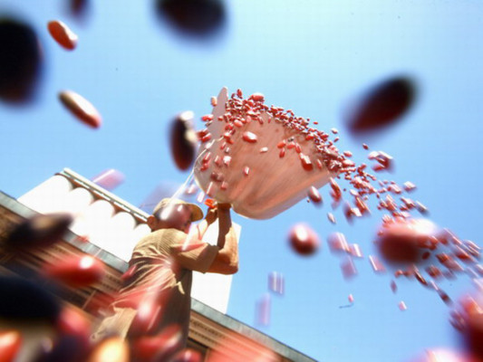 Honduras producirá frijol exclusivo para ser exportado a Venezuela