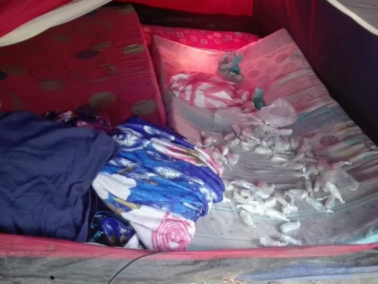 Capturan a supuestos pandilleros que tenían narcolaboratorio en San Pedro Sula &nbsp;