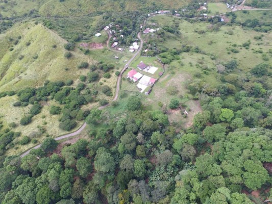 FOTOS: Estos son los bienes asegurados a la red de lavado de activos