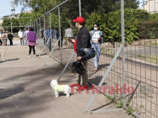 Con mascotas, aglomerados y estrenado sistema biométrico: Curiosidades del proceso electoral (FOTOS)