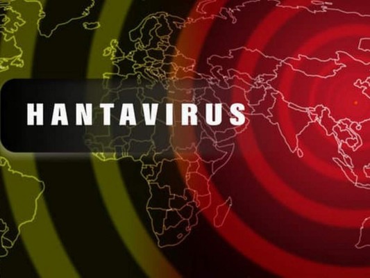 10 datos sobre el hantavirus, enfermedad transmitida por roedores