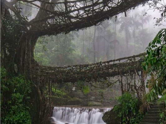 Fotos: Peligrosos, titánicos y larguísimos, estos son los puentes más impactantes del mundo