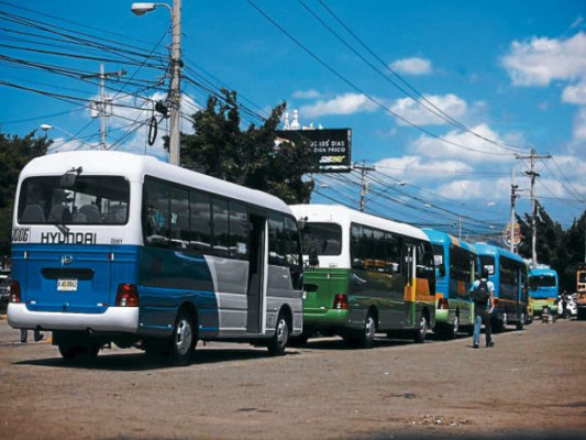 Podredumbre en la Dirección General de Transporte por festín de subsidio