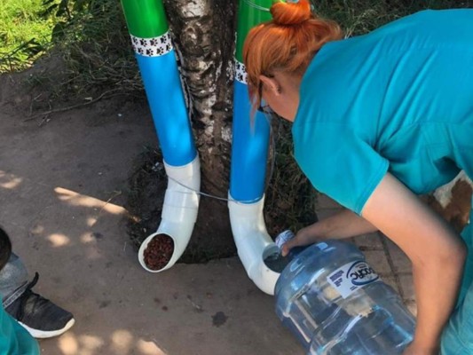 Instalan más dispensadores de comida y agua para perritos de la calle en la capital