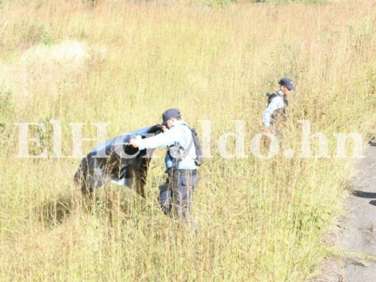 Honduras: Violencia apaga la vida de dos hermanos en la carretera vieja al norte