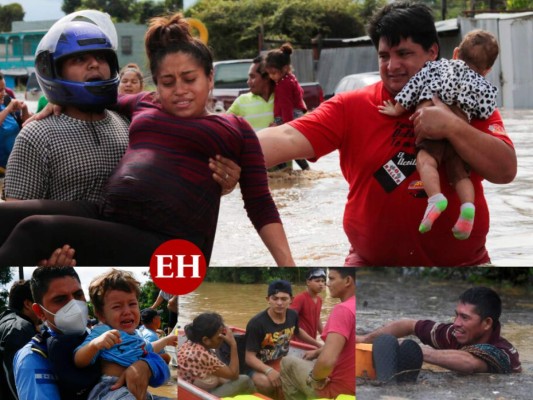 Los rostros de desesperación tras destructiva y mortal depresión Eta (FOTOS)