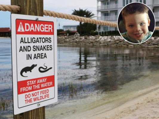 Disney World construye muro en el lago donde un cocodrilo mató a un niño