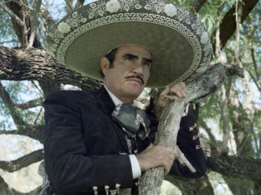Netflix: Lo que se sabe sobre la serie biográfica de Vicente Fernández