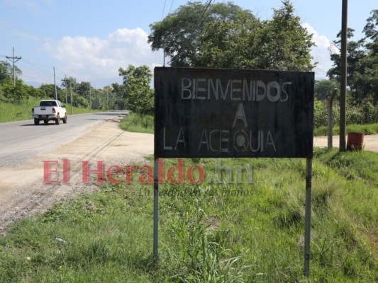 En selva y hábitat de serpientes se convirtió la megacárcel de Naco (Fotos)