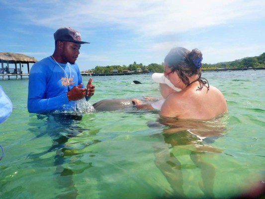 Delfines, una saludable compañía