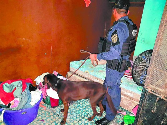 Informe revela que dinero sucio del narco no para de circular en Honduras