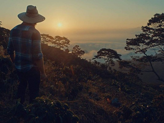 'Café con sabor a mi tierra”: La catación de un drama familiar