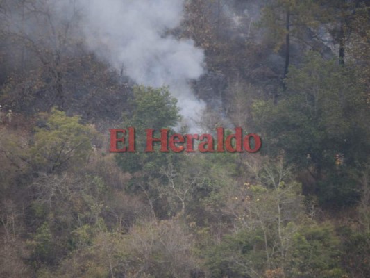 Incendio amenaza bosques de aldea El Carpintero&nbsp;