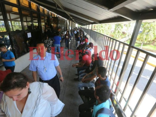 ¿Hasta cuándo atenderán las oficinas del Registro Nacional de las Personas previo a las elecciones?