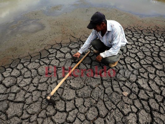 Este lunes definirán estrategia a seguir en la emergencia por sequía