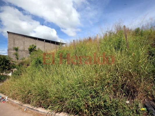 Vecinos intranquilos por un solar 'olvidado” en la colonia Prados Universitarios&nbsp;&nbsp;