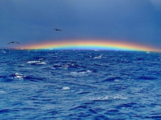 Barcos, submarinos y aviones: las desapariciones más misteriosas en altamar