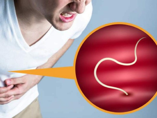 Artículo de Octavio Carvajal: Críticos y parásitos