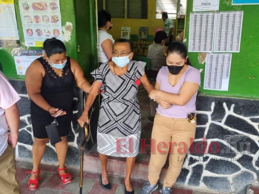 Con mascotas, aglomerados y estrenado sistema biométrico: Curiosidades del proceso electoral (FOTOS)