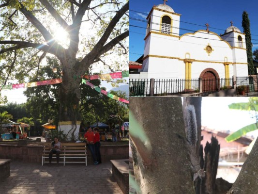 Tierra Adentro: Villa de San Francisco, cuna de tradiciones y reverencia a la naturaleza