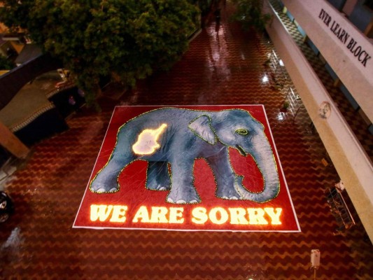 Arrestan a hombre por la muerte de la elefanta embarazada en India