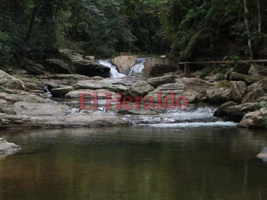 Campamento, hogar del chicharrón, el café y la tradición