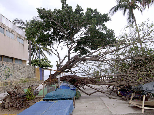 Huracán Carlotta deja 2 muertos y daños materiales a su paso por México