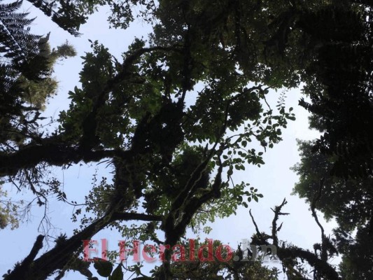 Güinope, de cuna del vino de naranja a firme enclave paisajístico