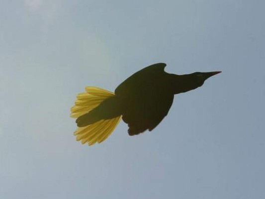 Fotos: Así es la belleza natural del Parque Arqueológico Los Naranjos