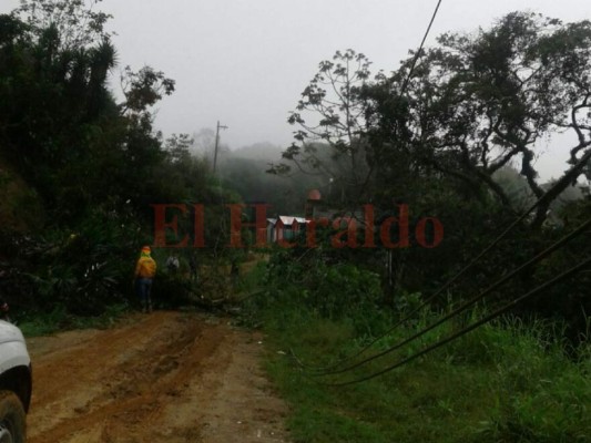 Según informe de EHH, servicio eléctrico en el país se mantiene con calidad pese a lluvias