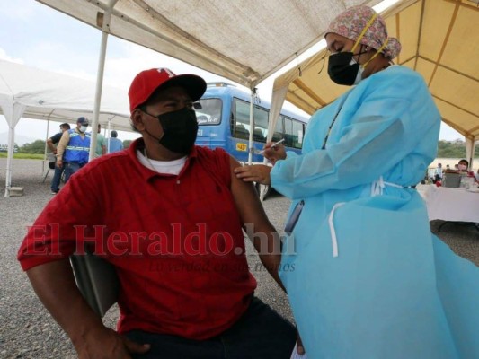 Continúa la vacunación a conductores de bus urbano e interurbano en Tegucigalpa